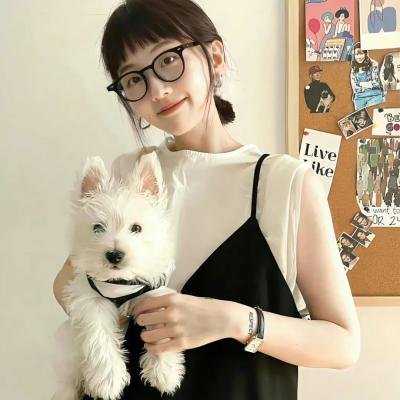 编剧风云